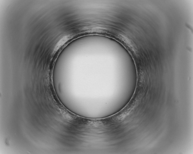 X0000096210978200802011317