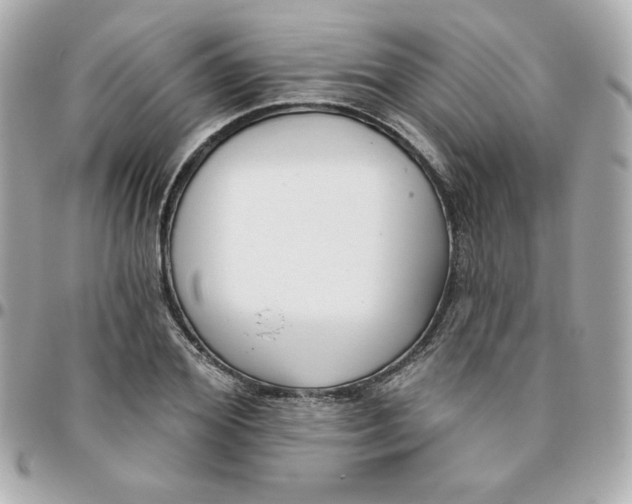 X0000096210980200802011317