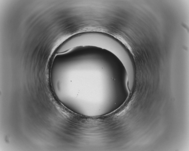 X0000096210981200802011317