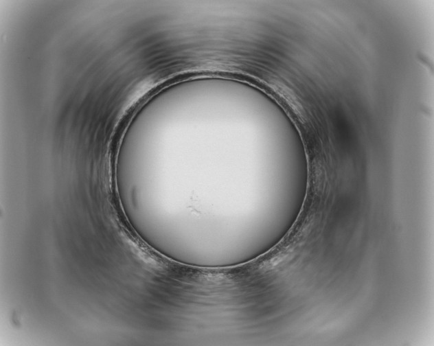 X0000096210982200802011317