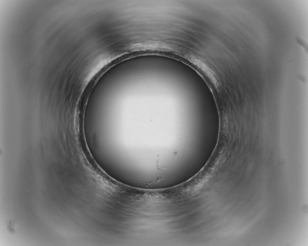 X0000096210983200802011317