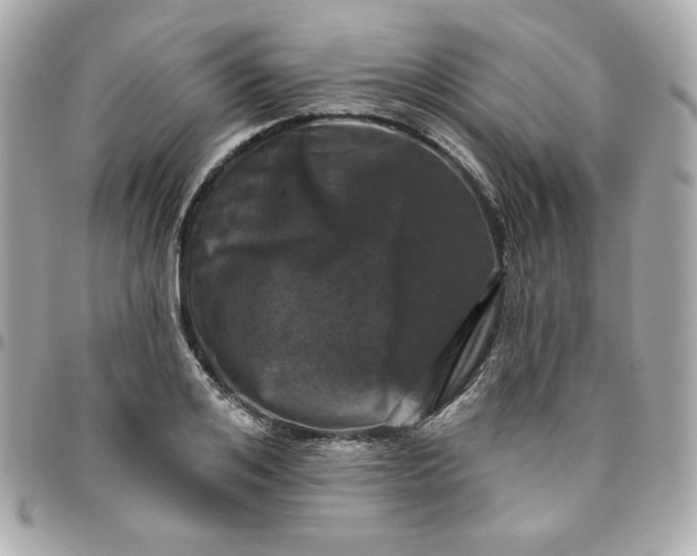 X0000096210984200802011317