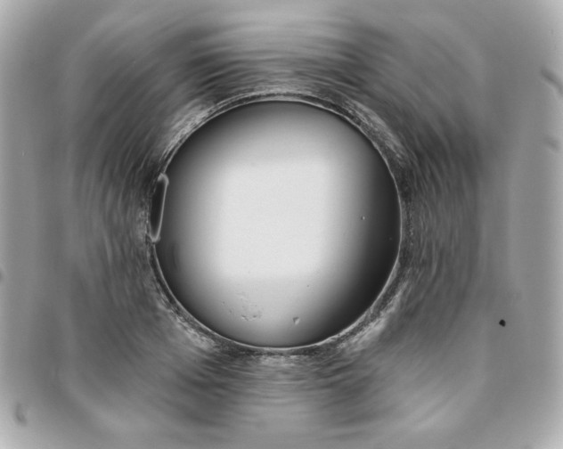 X0000096210985200802011317