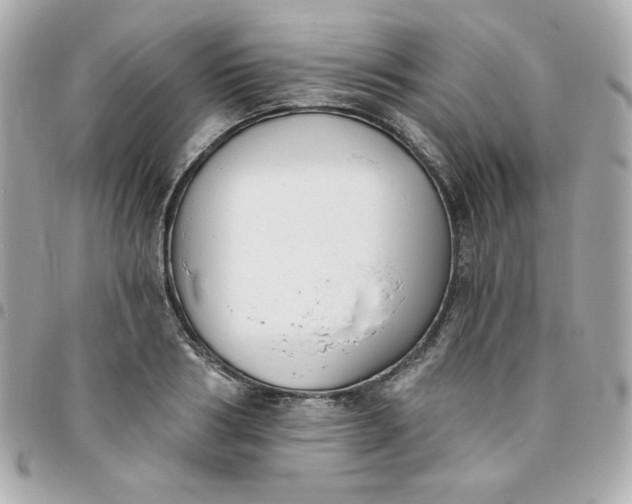 X0000096210986200802011317