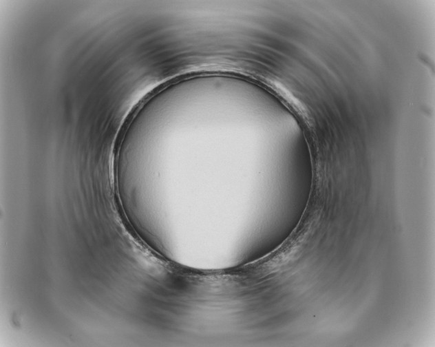 X0000096210988200802011317