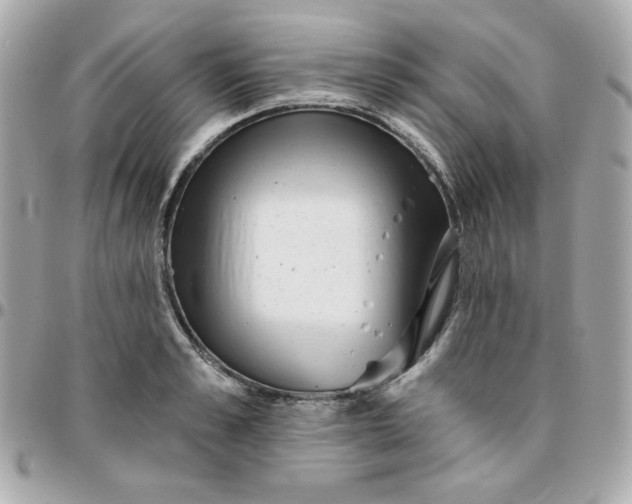 X0000096210989200802011317