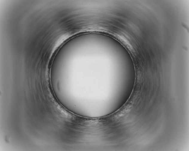 X0000096210990200802011317