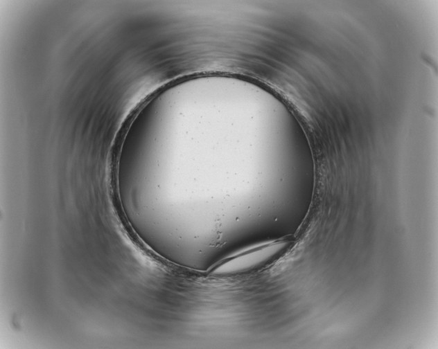 X0000096210991200802011317