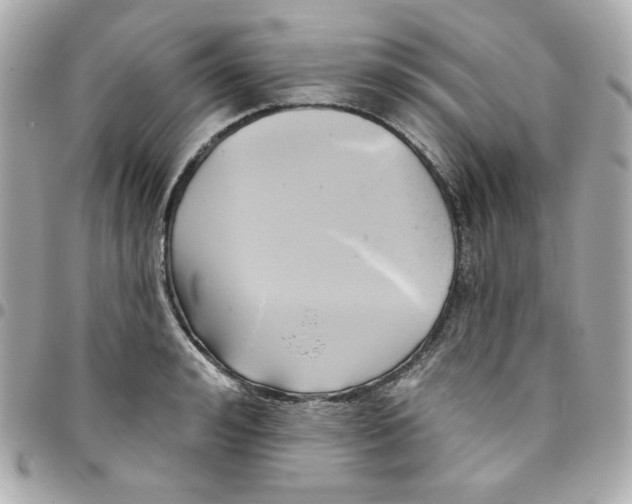 X0000096210992200802011317