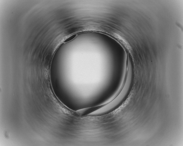 X0000096210993200802011317