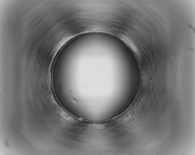 X0000096210996200802011317