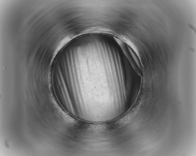 X0000096210997200802011317