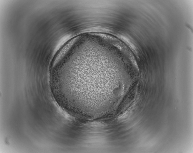 X0000096210998200802011317