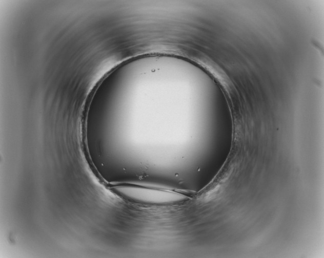 X0000096210999200802011317