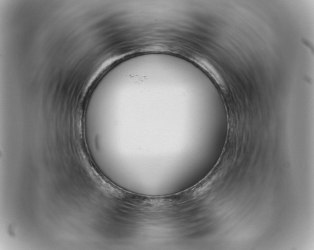 X0000096211000200802011317