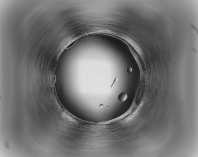 X0000096211001200802011317