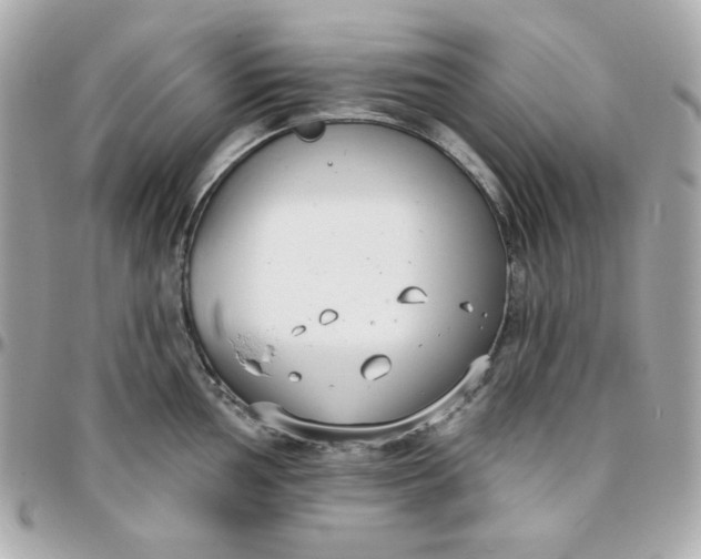 X0000096211002200802011317