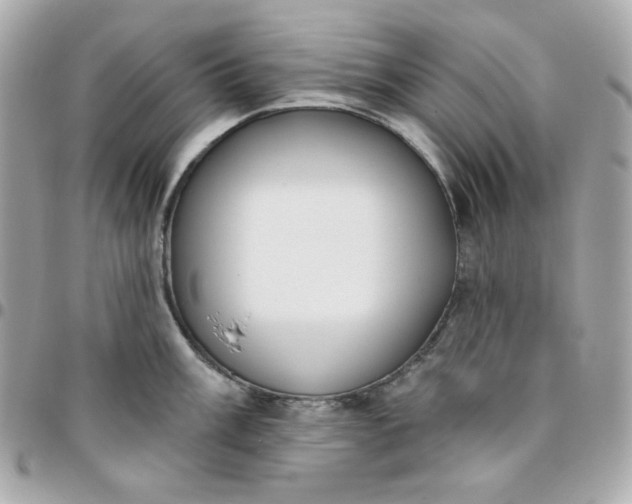 X0000096211003200802011317