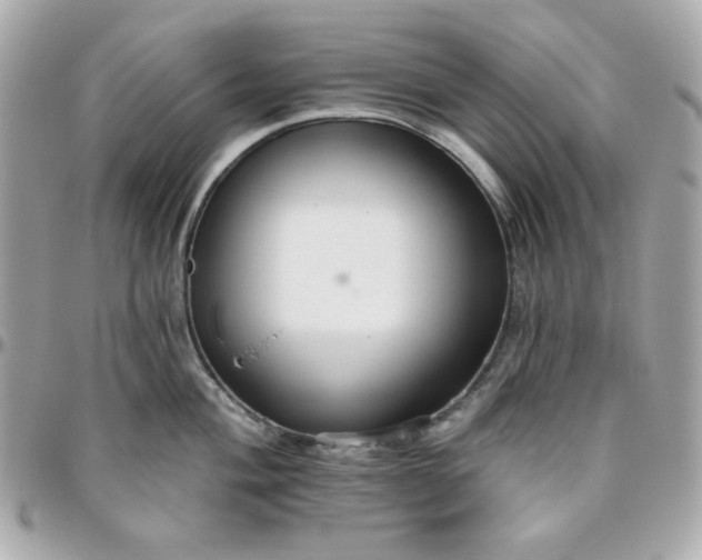 X0000096211004200802011317