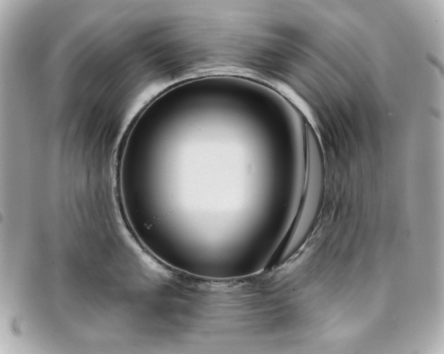 X0000096211005200802011317