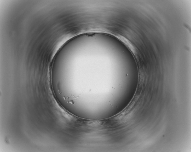 X0000096211006200802011317