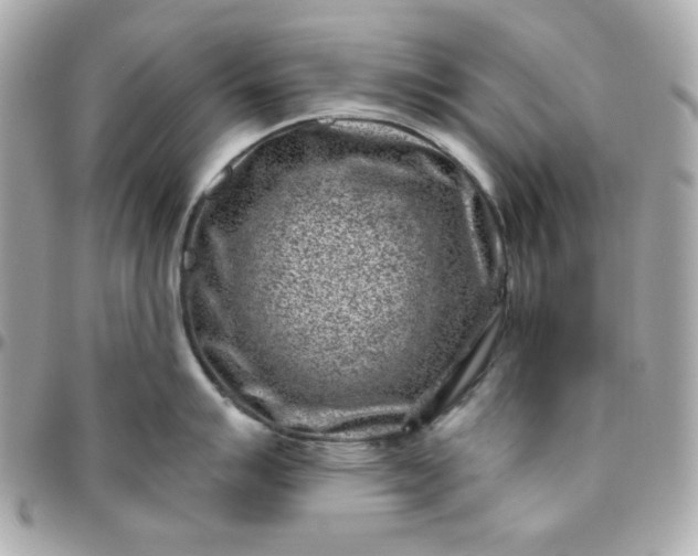 X0000096211007200802011317