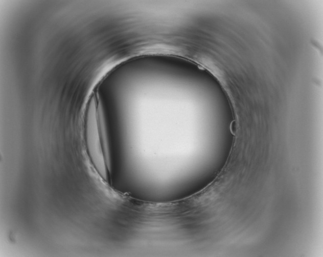 X0000096211008200802011317