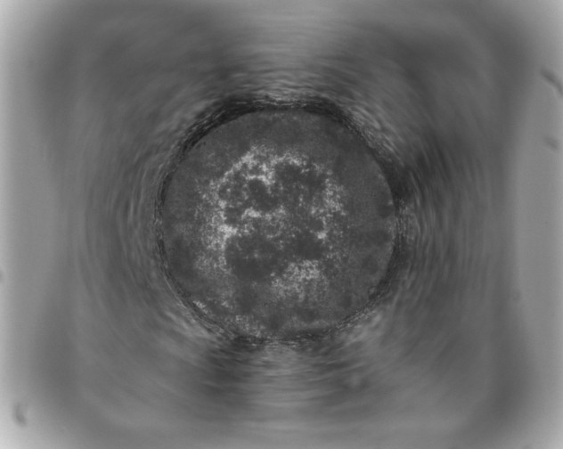 X0000096211009200802011316