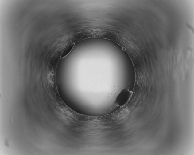 X0000096211010200802011316