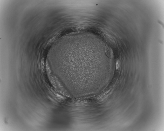 X0000096211011200802011316