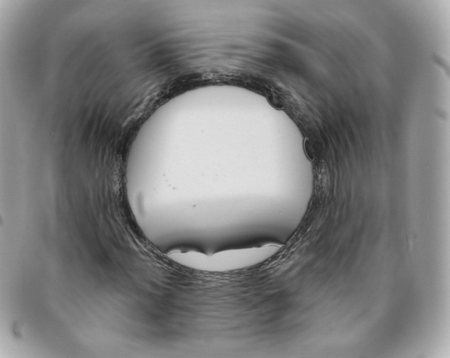 X0000096211012200802011316