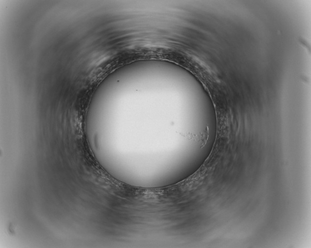 X0000096211013200802011316