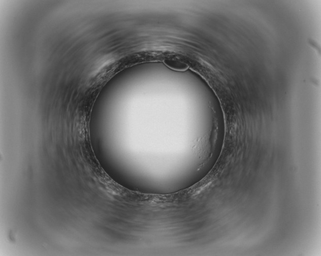 X0000096211014200802011316