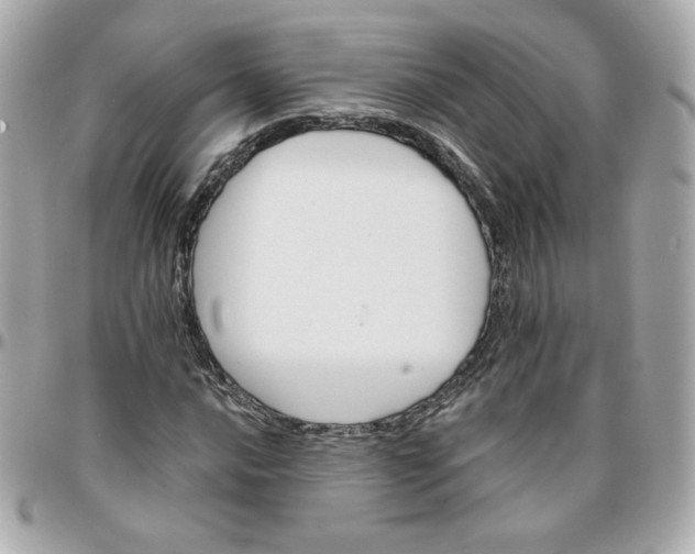 X0000096211016200802011317