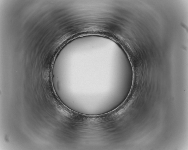 X0000096211017200802011317