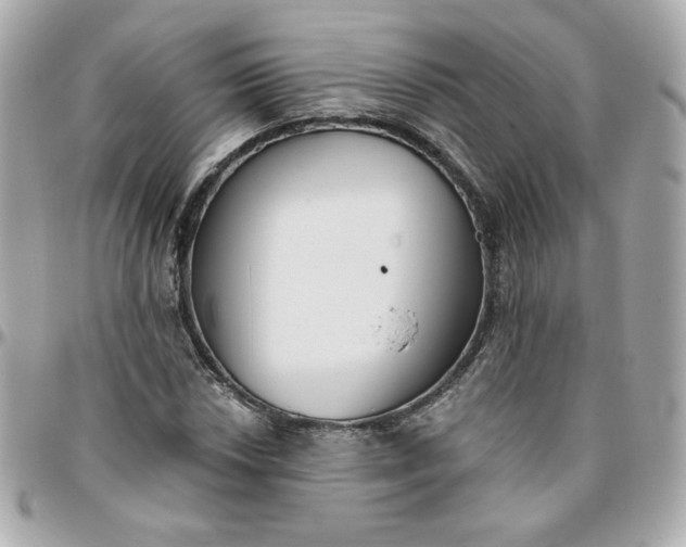 X0000096211018200802011317