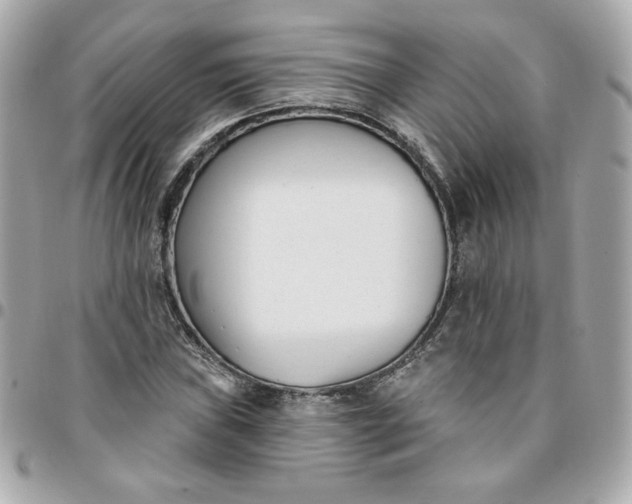 X0000096211019200802011317