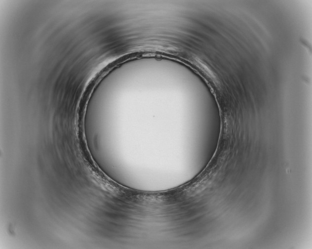 X0000096211020200802011317