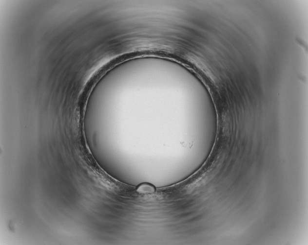 X0000096211021200802011317