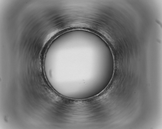 X0000096211022200802011317