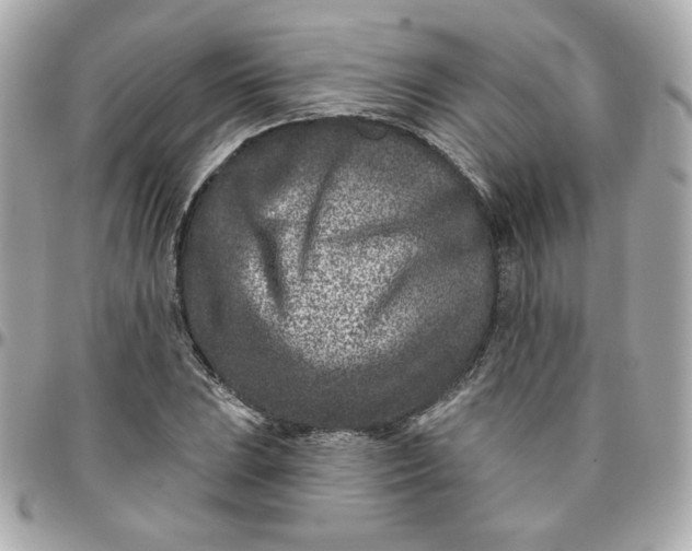 X0000096211023200802011317