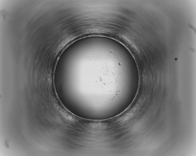 X0000096211025200802011317