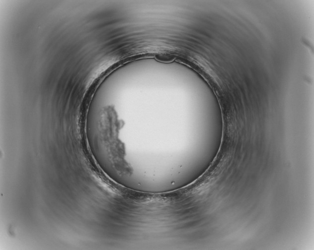 X0000096211026200802011317