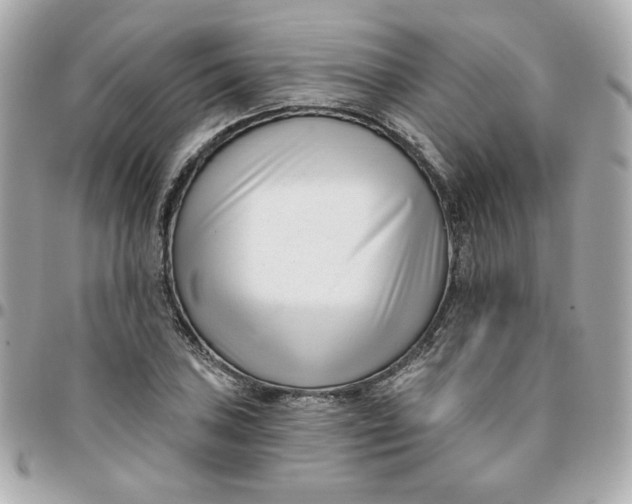 X0000096211027200802011317