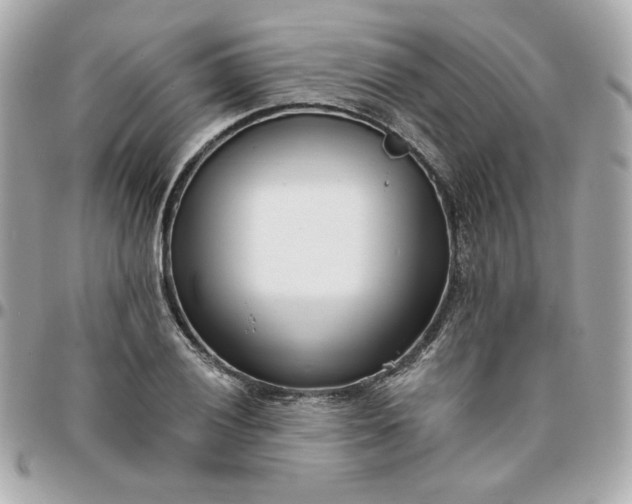 X0000096211028200802011317