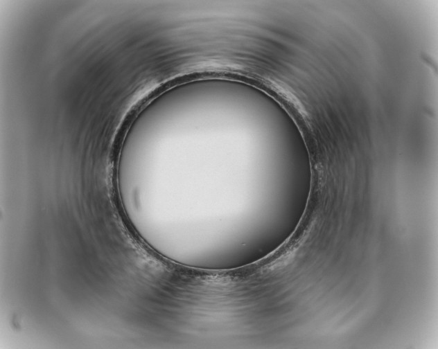 X0000096211029200802011317