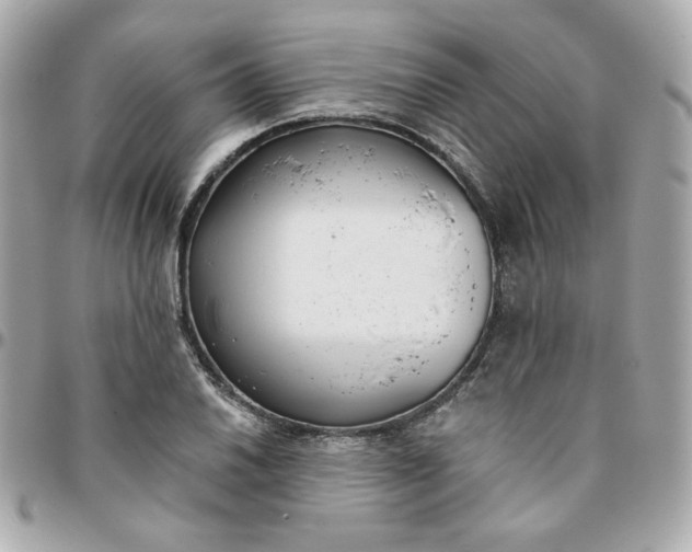 X0000096211030200802011317