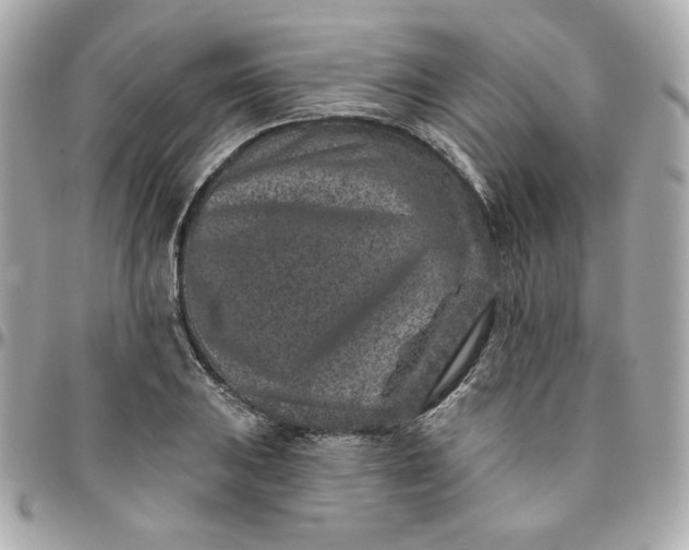 X0000096211031200802011317