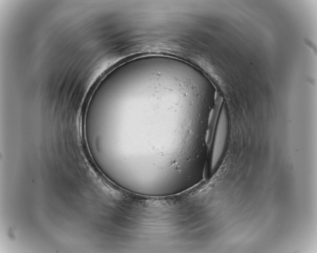 X0000096211032200802011317