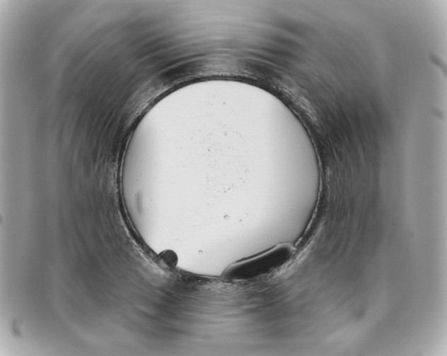 X0000096211033200802011317